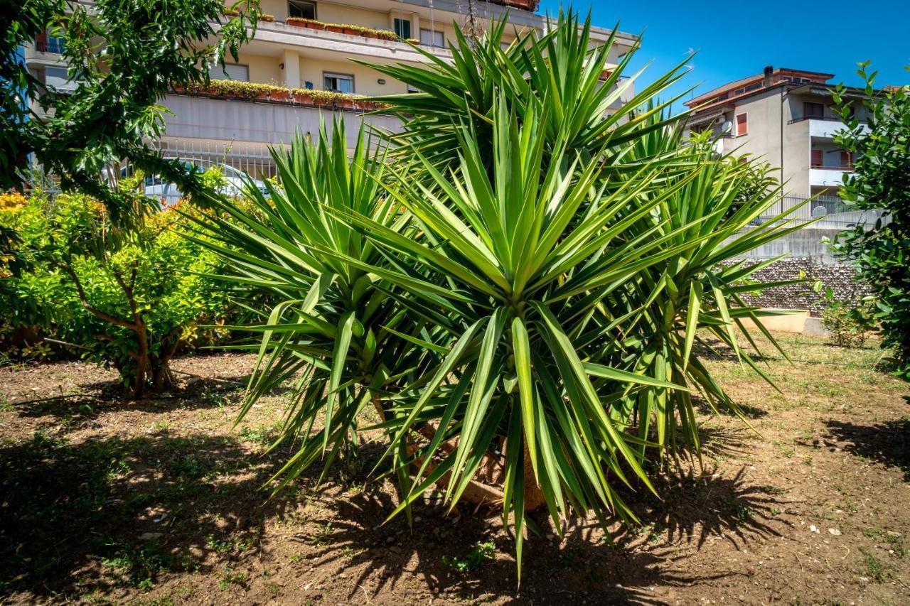 Antonella'S House Apartment Vasto Exterior photo